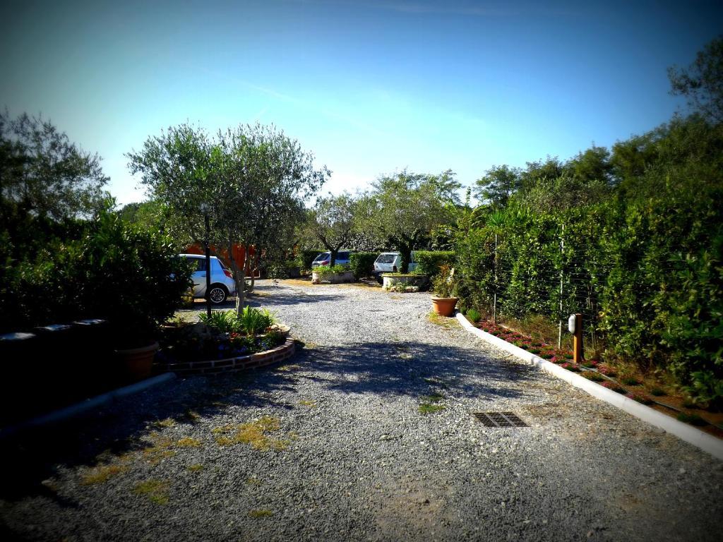 Country Apartments Castel di Decima Exterior photo